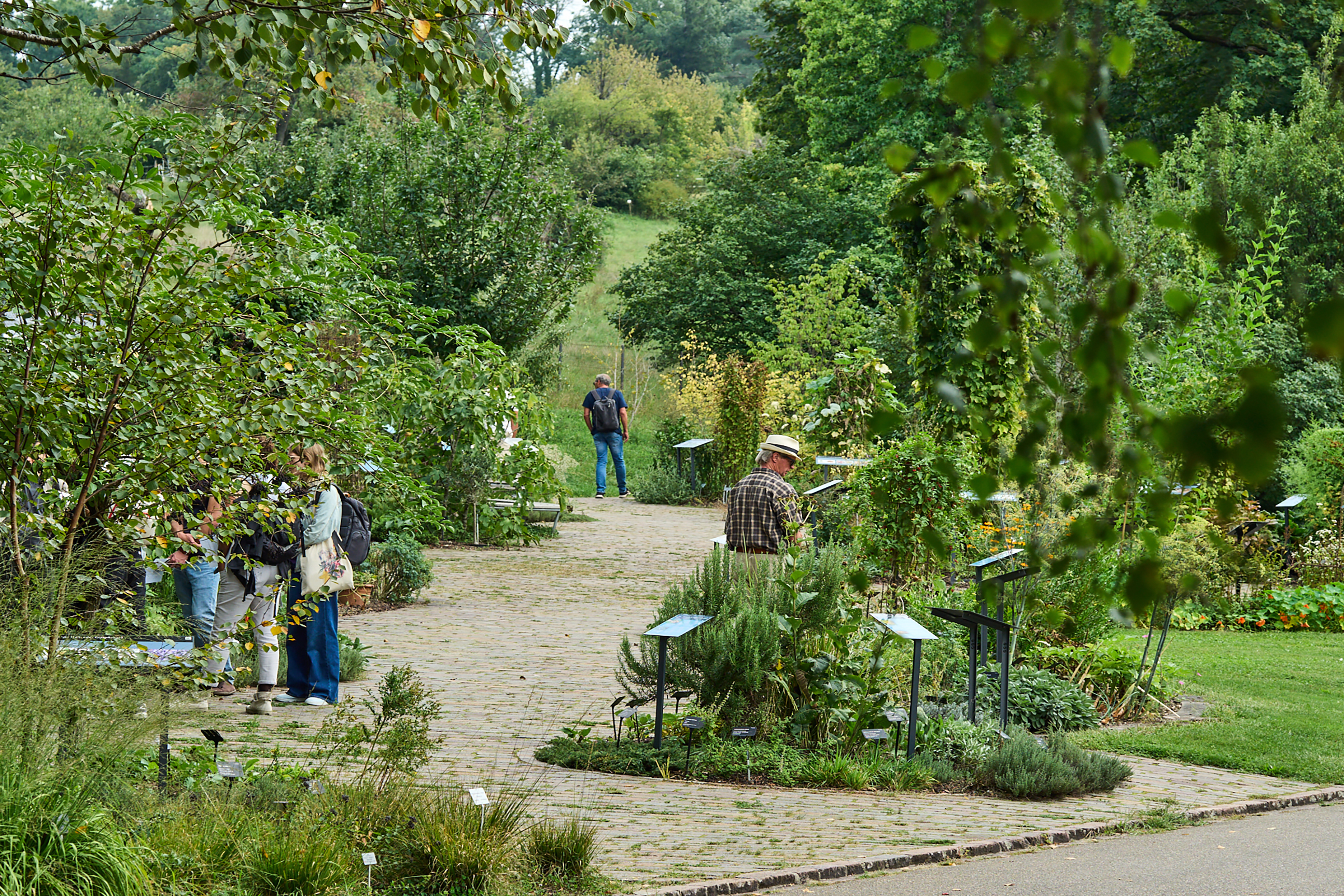 Besucher im Heilpflanzengarten